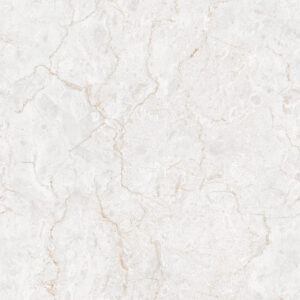 Hardix Silver 60x120 cm